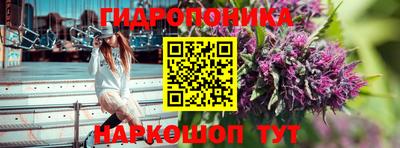 прущая мука Дубна
