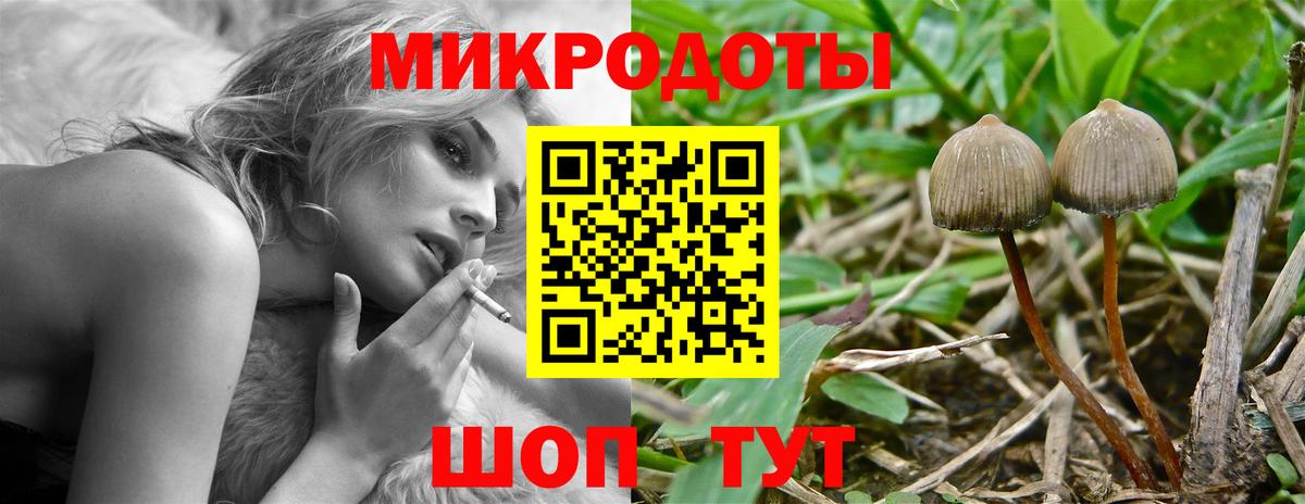 Псилоцибиновые грибы Psilocybe  Псилоцибиновые грибы GOLDEN TEACHER  Менделеевск  Вход с VPN 