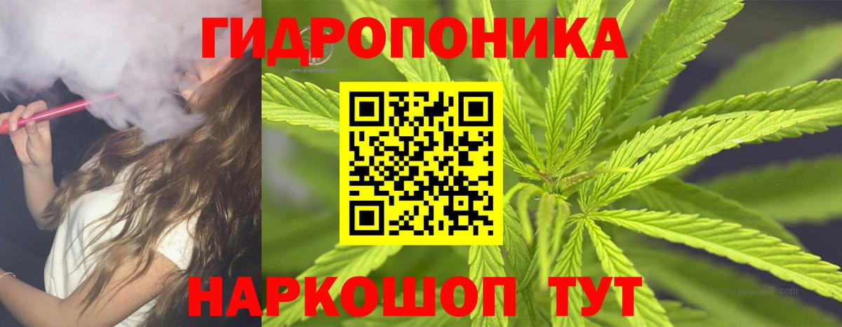Каннабис Bruce Banner  Конопля AK-47  Марихуана план  Менделеевск  Вход с VPN 